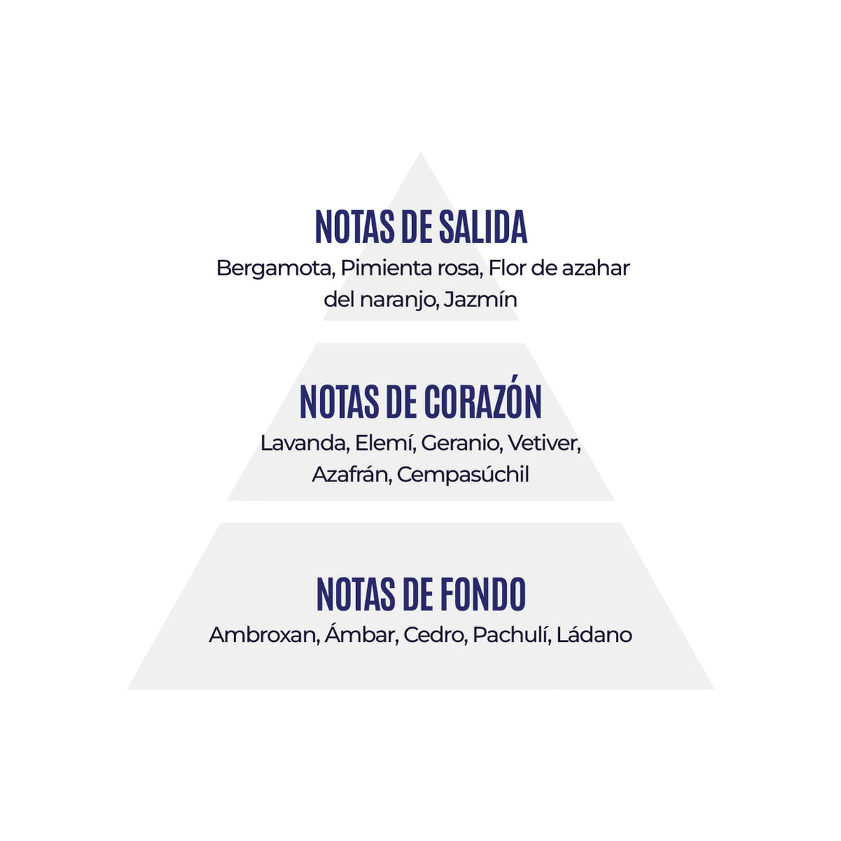 Club de Nuit Urban Man Elixir